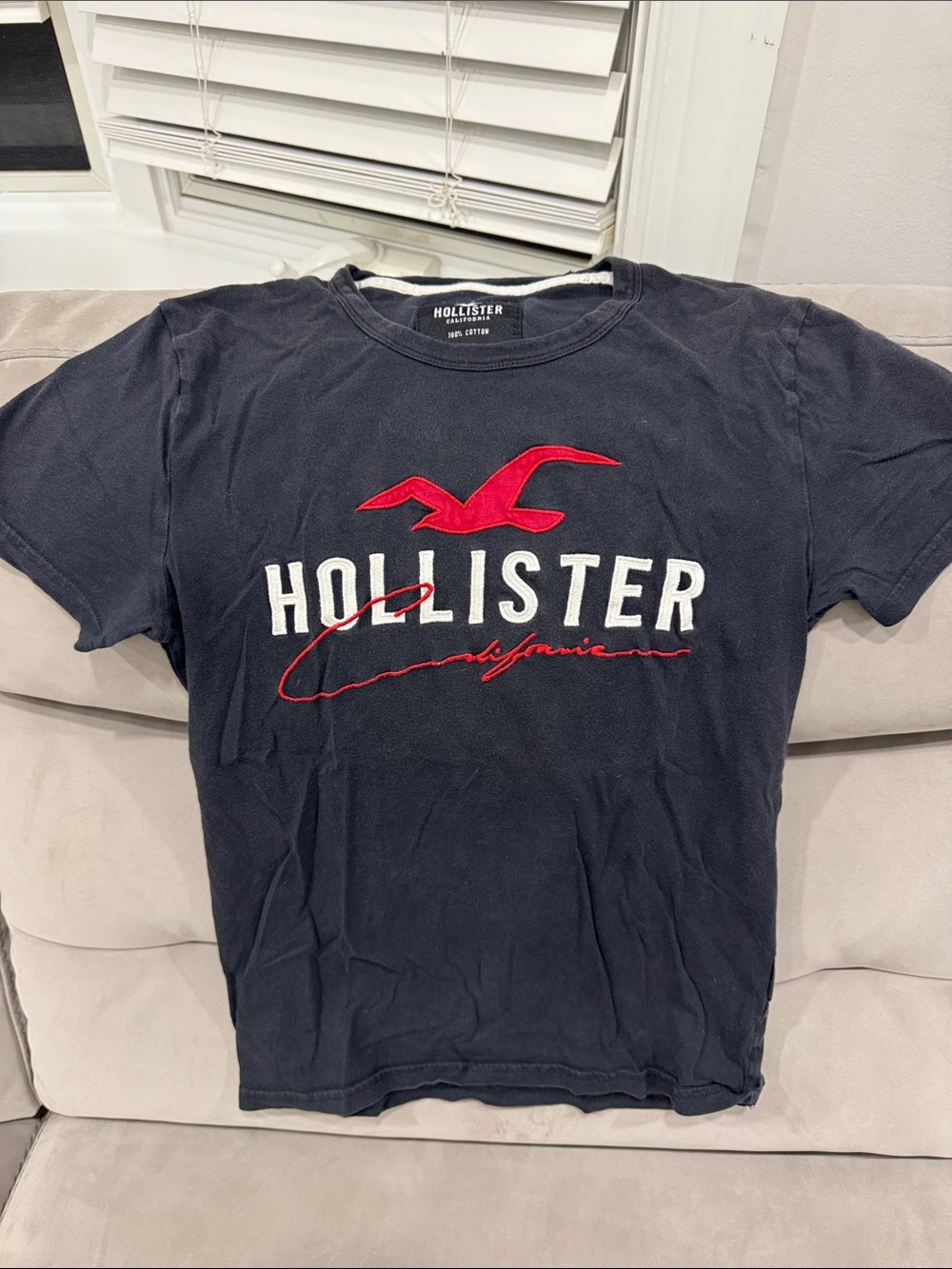 Hollister black Tee with White Logo and Red Seagull